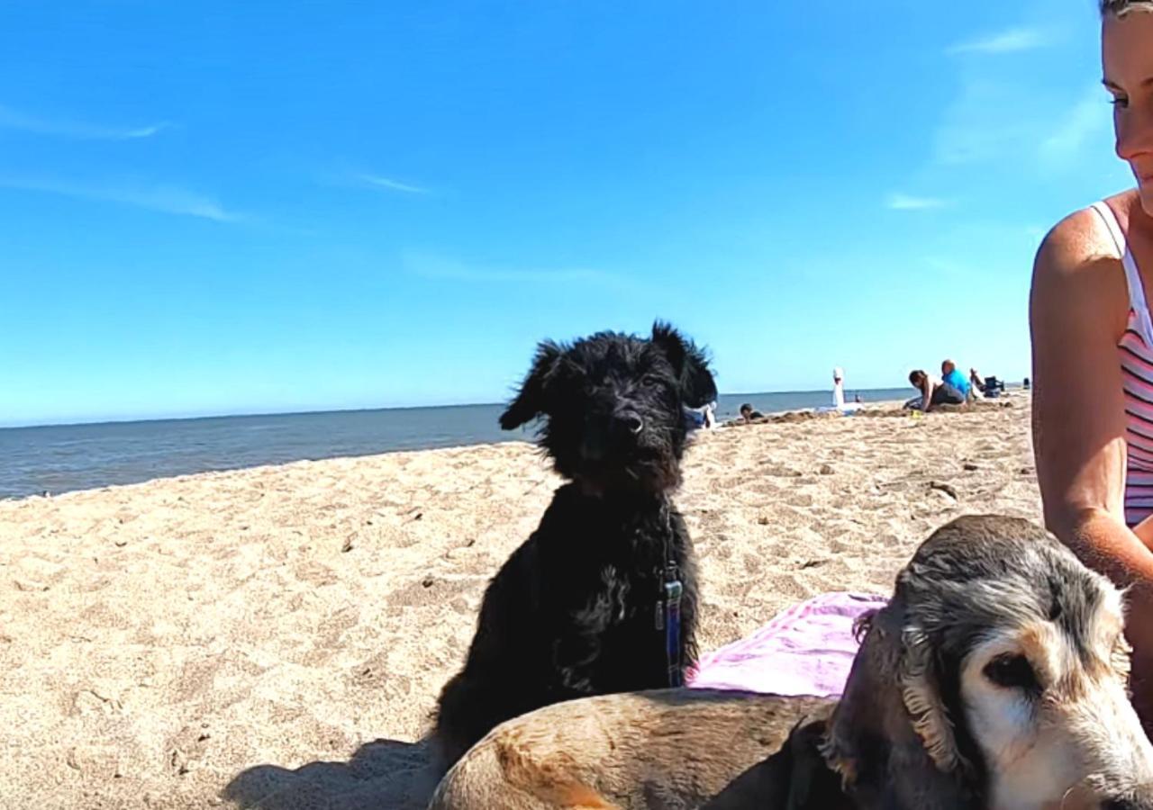 Romantic Lakeside Cottage By The Beach! With Super Cosy Log Burner! The Perfect Escape To Your Home From Home By The Sea! So Relaxing - You Won'T Want To Leave! Pet Friendly! Mablethorpe Ngoại thất bức ảnh