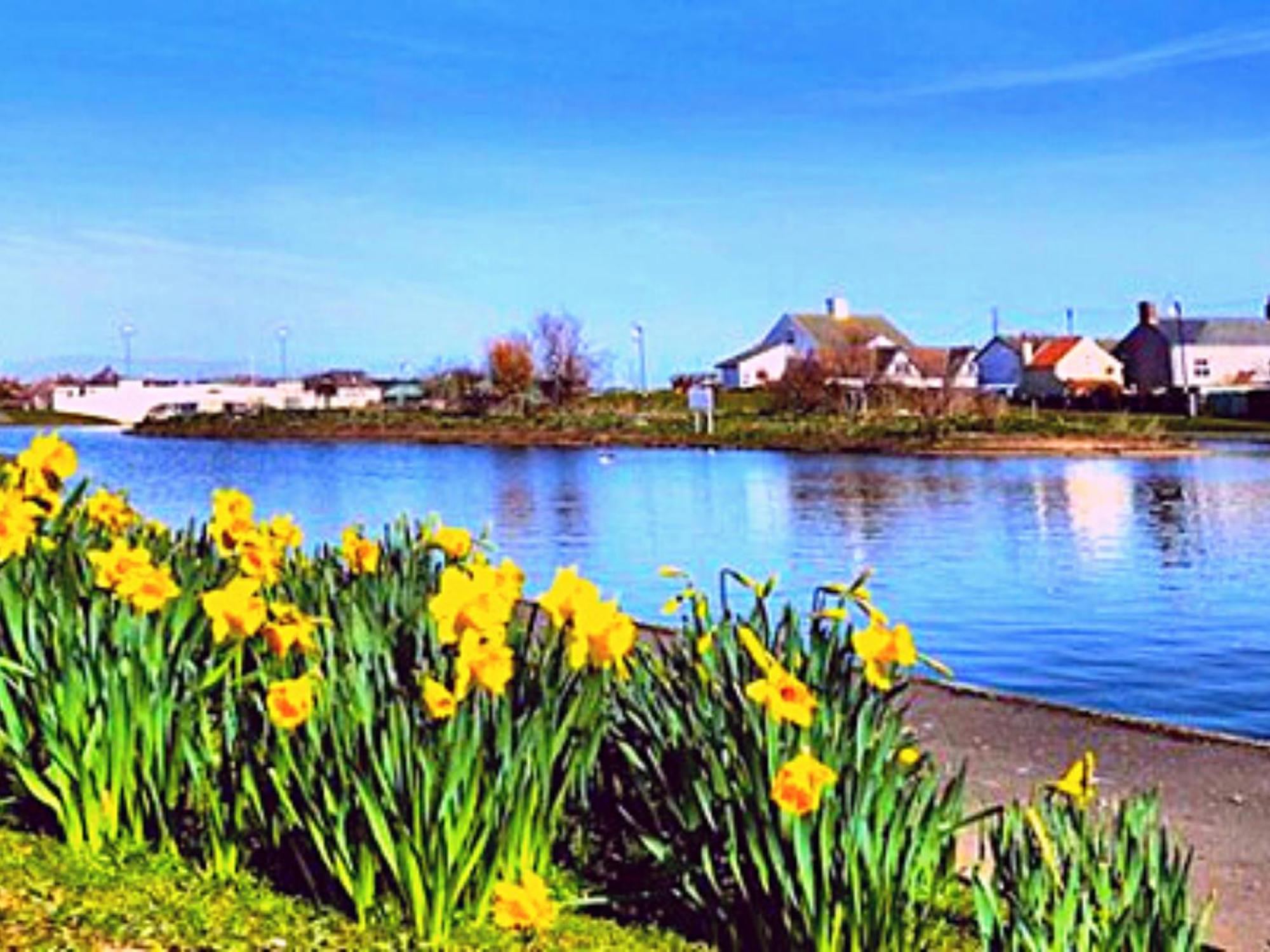 Romantic Lakeside Cottage By The Beach! With Super Cosy Log Burner! The Perfect Escape To Your Home From Home By The Sea! So Relaxing - You Won'T Want To Leave! Pet Friendly! Mablethorpe Ngoại thất bức ảnh